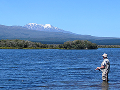 Fishing on Lake Taupo